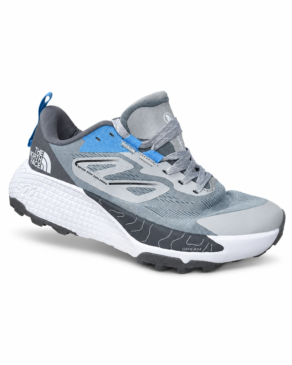 کفش تریل رانینگ The North Face Altamesa 500