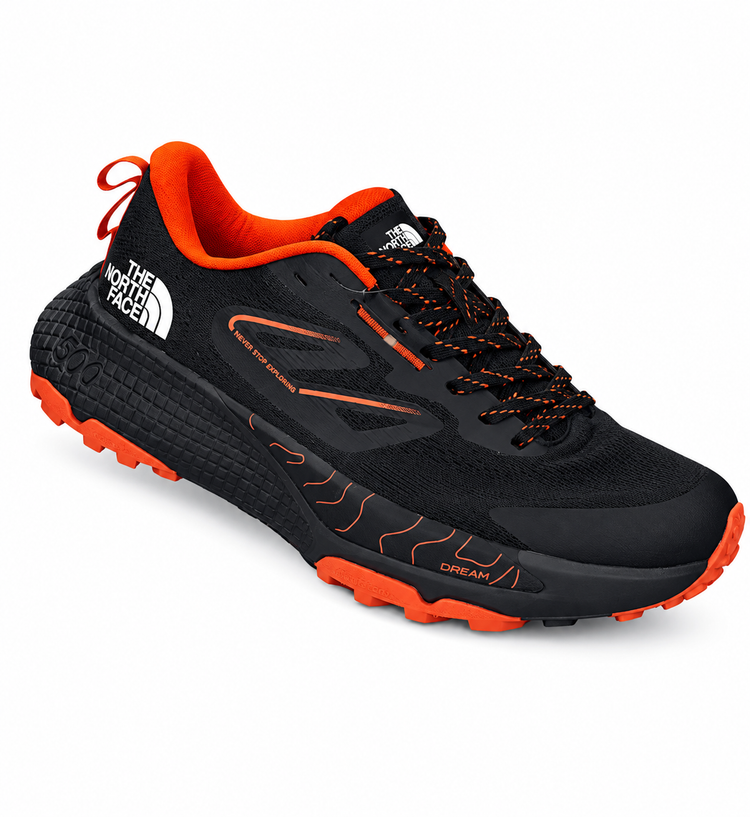 کفش تریل رانینگ The North Face Altamesa 500